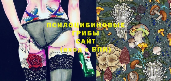 мдпв Белокуриха