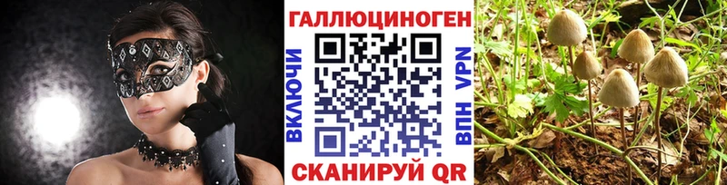 Псилоцибиновые грибы мицелий  купить наркотик  Велиж 